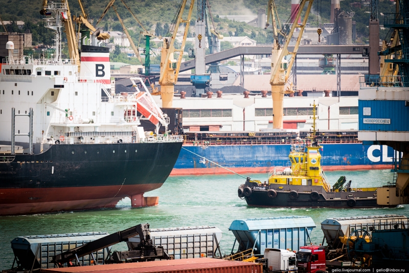 Морские порты России переходят на единую цифровую платформу формирования графика расстановки и движения судов